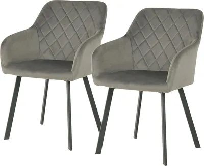 Produktbild von home24 Armlehnenstuhl - 2er-Set - Samt / Gusseisen