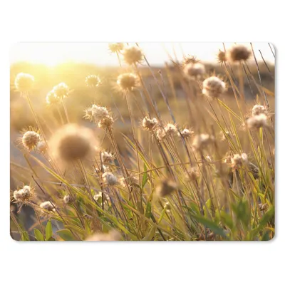 Produktbild von MuchoWow® Mauspad Mousepad Pflanzen - Natur - Blumen - Sonne - Horizont 40x30 cm - Mousepads - Maus Mat - Pad - Mausunterlage - Anti Rutsch