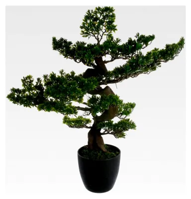 Produktbild von Atmosphera - Künstlicher Bonsai H 80 cm - Grün