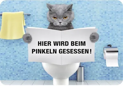 Produktbild von Kulthänger Blechschild, Katze - Hier wird beim Pinkeln gesessen, KH 016