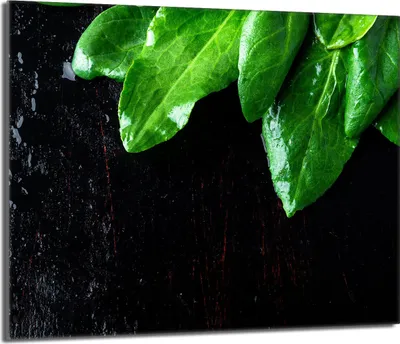 Obrázek produktu pro Krycí deska sporáku 60x52 keramický kryt varné desky splashback skleněná deska deco prkénko na krájení, bazalka listy