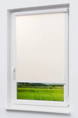 Produktbild von Lysel Outlet - Kassettenrollo Tageslicht Elfenbein, (B x H) 110cm x 175cm in beige/elfenbein