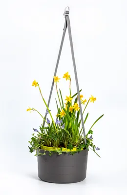 Produktbild von Plastia | Hängende Pflanzkübel Berberis - 26x18 cm - Grau - Selbstbewässernd - Ideal für Balkon und Garten