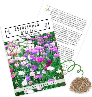 Image de Graines de bleuet (Centaurea cyanus) - De magnifiques fleurs aux couleurs vives, à la floraison longue, de petite taille - idéales pour les jardinières de balcon (Mini Mix, 1 000 graines, 50 cm)