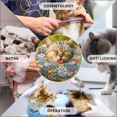 Verstellbares Katzenhalsband für die Genesung nach einer Operation