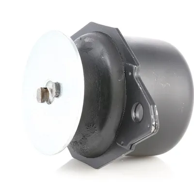 Produktbild von RIDEX Motorlager Gummimetalllager Hinten Links für VW GOLF III (1H1) 247E0013