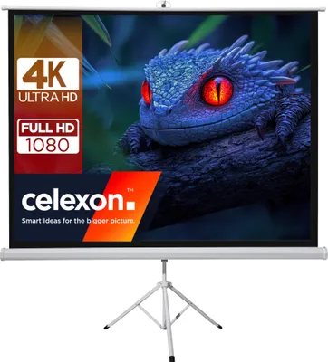 A projection screen displaying a dragon image, with brand logos and resolution information.