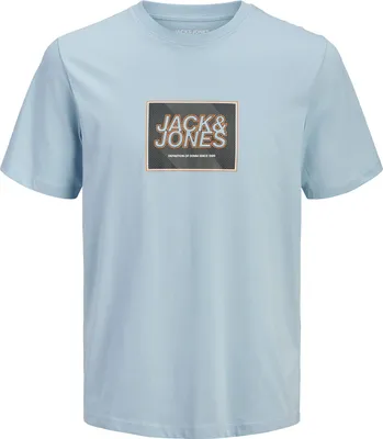 Produktbild von Jack&Jones Übergrößen T-Shirt hellblau JJRAIN Print
