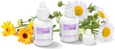 Produktbild von Dogoteka DogoDrops 50 ml