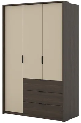 Productafbeelding van Kledingkast met draaideuren en lades, model OMAL 19, eikenhout "Dunin" / beige, licht