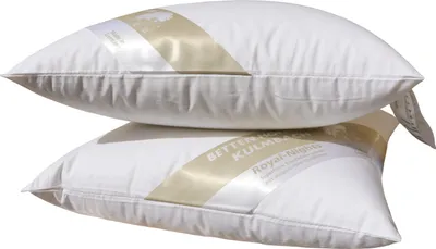 Produktbild von 2 Stück Betten Hofmann Kopfkissen 35x35 Nackenkissen Federkissen 30% Daunen 300g prall
