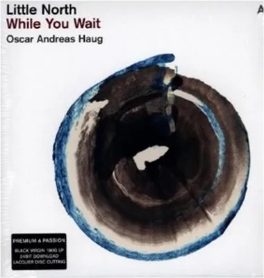 Image de While You Wait (Vinyle noir 180g)