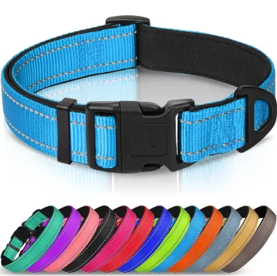 Productafbeelding van Hondhalsband voor Kleine Honden, Reflecterend, Blauw