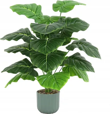 Produktbild von Künstliche Alokasian-Ohrpflanze in einem realistischen Topf, 60 cm, Busch