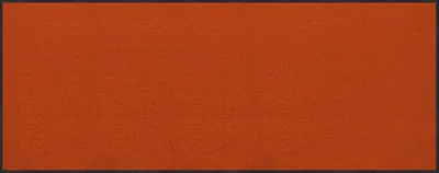 Produktbild von Erwin Müller Fußmatte Mainz" terra 80x200 cm"