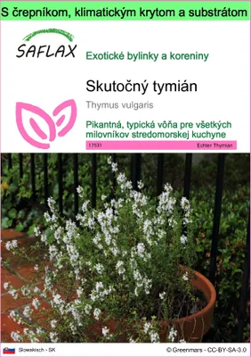 Obrázok produktu pre SAFLAX Garden to go - Skutočný tymián - Thymus vulgaris - 200 Semená - S črepníkom, klimatickým vekom a pestovateľským substrátom