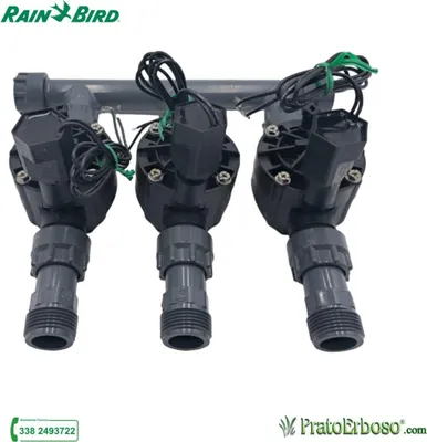 Image de Collecteur à 3 stations avec électrovanne Rain Bird HV 24V