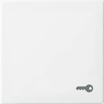 Imagen del producto de 100
