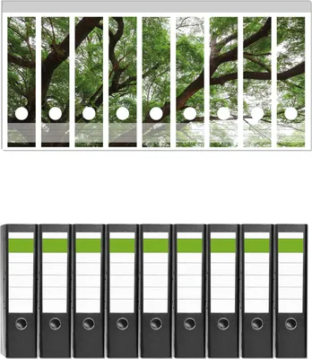 Produktbild von Wallario 9 Stück breite Ordner inkl. Klebeetiketten mit Motive Gigantischer Regenbaum von unten -  Set mit Rückenschildern / Ordnerrücken Stickern