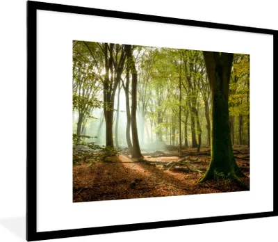 Produktbild von MuchoWow® Gerahmtes Poster Wald - Sonne - Jahreszeiten - Landschaft 80x60 cm - Poster mit Schwarzem Bilderrahmen Wandposter Rahmen Foto Bilder - Schlafzimmer-Dekorationen - Fotoposter