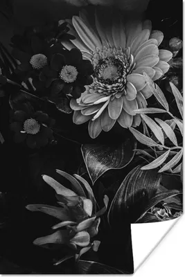 Produktbild von MuchoWow® Poster Blumenstrauß - Stilleben - Blumen - Pflanzen - Rot 20x30 cm - Papierdruck