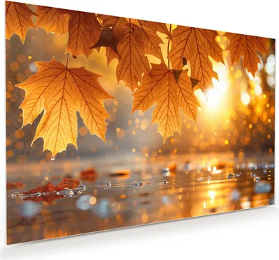 Produktbild von Glasbild 60x40cm in XXL für Wohnzimmer, Schlafzimmer Motiv Herbstliche Blätter