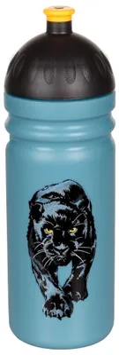 Obrázek produktu pro Zdravá láhev R & B Panter 700 ml