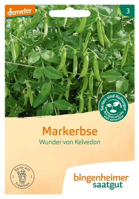 Produktbild von Bingenheimer Saatgut Markerbse 1 Stück