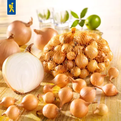 Artikelbild 2 von 'Wintersteckzwiebel Senshyu Yellow (250 g)' aus der Kategorie Wintersteckzwiebeln