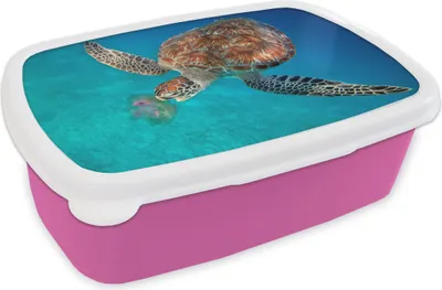Produktbild von KitchenYeah® Lunchbox Brotzeit Brotdose 17x11 cm Grüne Schildkröte mit Qualle Kinder Brotzeitdose - Lunchpaket - Brotkasten  - Sandwich Box