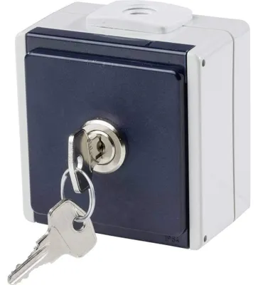 Productafbeelding van Stopcontact met 2 kabelingangen IP54 in grijs