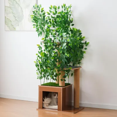 Productafbeelding van Kratzboom, model Baumform, 158 cm hoog, met 3 plateaus, een kattenhol, en afneembare elementen. Geschikt om op te klimmen. (Groen)