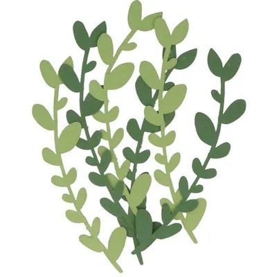 Image de 6 feuilles de papier - Sauge alpine