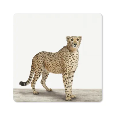Produktbild von MuchoWow® Mauspad Mousepad Tiere - Gepard - Weiß 30x30 cm - Mousepads - Maus Mat - Pad - Mausunterlage - Gaming
