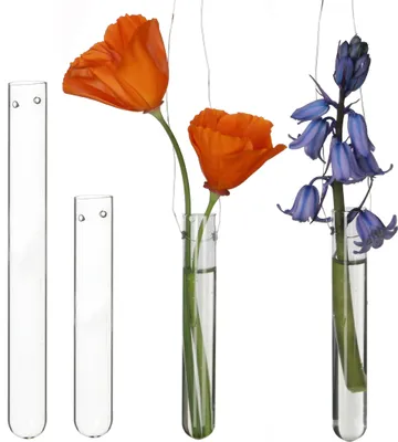 Produktbild von 12 Reagenzgläser für Blumen zum hängen, Reagenzglas Vase mit Loch zum aufhängen, Fensterdeko hängend, Hochzeitsdeko, Hängevase Glas (15 cm)