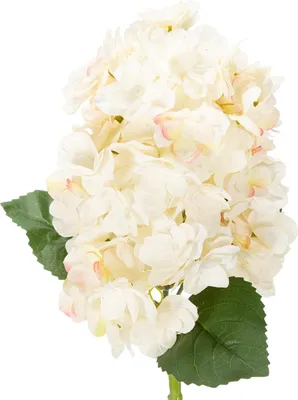 Produktbild von Kunstblume Hortensie elegant und dekorativ für Wohnräume