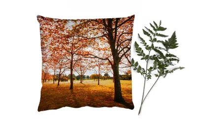 Produktbild von MuchoWow® Zierkissen Sofakissen Wohnzimmer Dekokissen 50x50 cm Herbst - Herbstblätter - Natur - Komfort - Sofakissen