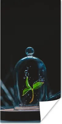 Produktbild von MuchoWow® Poster Stilleben - Pflanze - Blumen 20x40 cm - Plakat - Foto