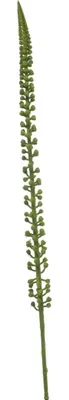Produktbild von artplants.de Deko Zweig Sedum morganianum GRAXON, grün, 85cm - Kunstblumen Sedumzweig