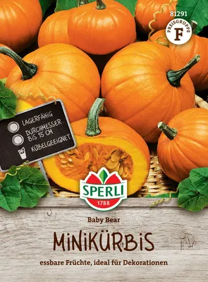 Produktbild von SPERLI Kürbissamen Baby Bear Cucurbita pepo 8 Pflanzen