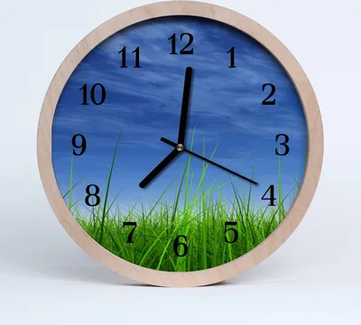Produktbild von Holzuhr 20fi cm wanduhr - Gras Natur