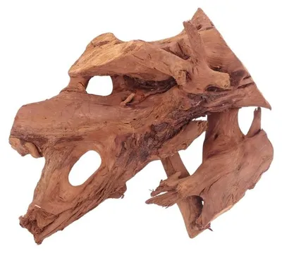 Produktbild von L Mangrovenwurzel Nr.4372 Holz Deko Aquascaping