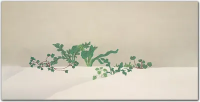 Produktbild von Coloray Bild aus Leinwand 140x70 Leinwand Dekoration - Blume Pflanze Winter