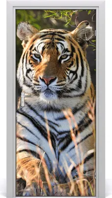 Produktbild von Tulup Türaufkleber 95x205 cm Dekorative Aufkleber Selbstklebend Wasserdichte Tapete Abnehmbar Schlafzimmer Wohnzimmer Wohnkultur - Tiger-Wand