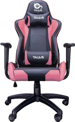 Produktbild von TALIUS Gecko v2, Universal-Gamingstuhl, 120 kg, Gepolsterter, ausgestopfter Sitz, Gepolsterte, ausgestopfte Rückenlehne, Rennen, Universal