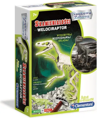 Produktbild von Fossilien-Ausgrabung: Velociraptor leuchtet