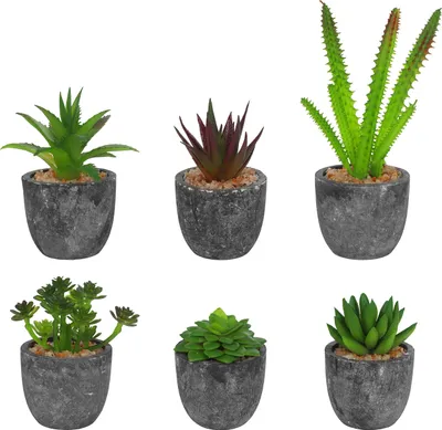 Produktbild von Belle Vous Kunstblumen im Topf Mini Kunstpflanzen im Topf (6 Stk)- Sortierte Mini Sukkulenten Pflanzen & Kaktus - Deko Blumen Unechte Pflanzen für