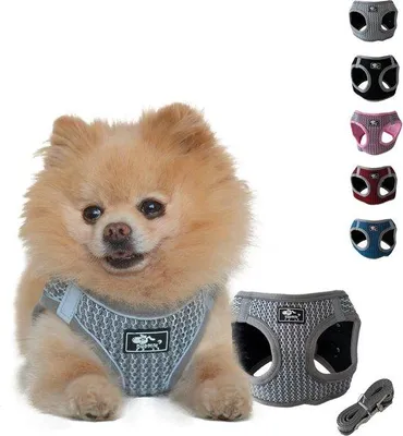 Immagine prodotto di Piccola pettorina per cani, super comoda, antiscivolo e traspirante, grigio/nero, taglia L