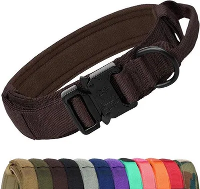 Produktbild von Ibenzoa® Robustes, verstellbares Hundehalsband mit Griff für mittelgroße und große Hunde – Nylon mit Baumwollfutter, M/L/XL, D-Ring, Metallverschluss