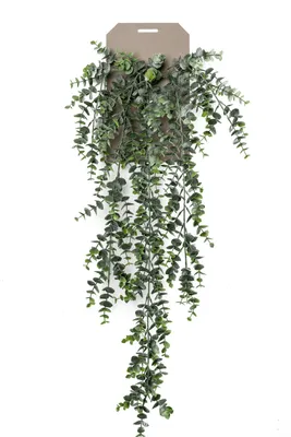 Produktbild von künstlicher Eucalyptus hängend mit 5 Ranken grün L. 75cm Emerald